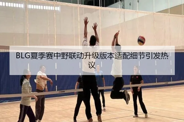 BLG夏季赛中野联动升级版本适配细节引发热议 | HUAQIU.COM